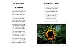 Die-Sonnenblume-Geibel.pdf